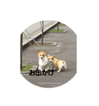 ココげんき（個別スタンプ：2）