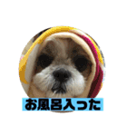 小太郎の毎日（個別スタンプ：8）