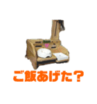 小太郎の毎日（個別スタンプ：11）