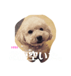 ハラミスタンプ！（個別スタンプ：6）
