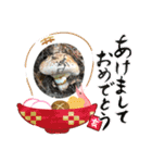信州松茸屋（個別スタンプ：7）