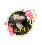 信州松茸屋（個別スタンプ：10）
