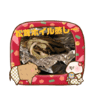 信州松茸屋（個別スタンプ：12）