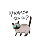 シャム猫生活（個別スタンプ：1）
