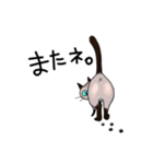 シャム猫生活（個別スタンプ：7）