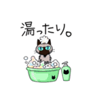 シャム猫生活（個別スタンプ：10）