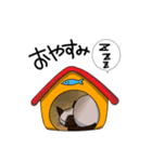 シャム猫生活（個別スタンプ：13）