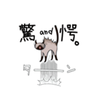 シャム猫生活（個別スタンプ：23）