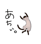 シャム猫生活（個別スタンプ：27）