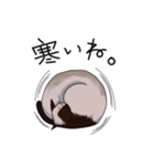 シャム猫生活（個別スタンプ：28）
