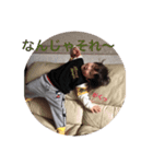 おうちゃん すたんぷよん（個別スタンプ：8）