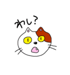 新・きゃわねこ（個別スタンプ：1）