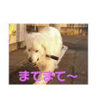 くーちゃん。（個別スタンプ：3）