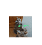 ソラとノア（個別スタンプ：3）