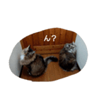 ソラとノア（個別スタンプ：4）