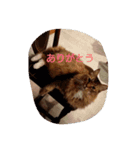 ソラとノア（個別スタンプ：5）