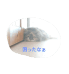 ソラとノア（個別スタンプ：6）