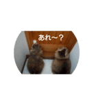 ソラとノア（個別スタンプ：8）