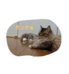 ソラとノア（個別スタンプ：9）