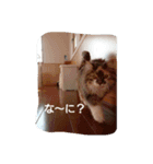 ソラとノア（個別スタンプ：14）