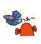 赤いベタの日常会話スタンプ（個別スタンプ：2）