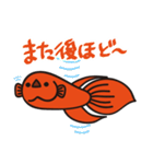 赤いベタの日常会話スタンプ（個別スタンプ：12）