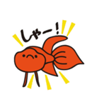 赤いベタの日常会話スタンプ（個別スタンプ：20）