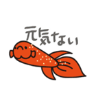 赤いベタの日常会話スタンプ（個別スタンプ：23）