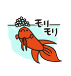 赤いベタの日常会話スタンプ（個別スタンプ：37）