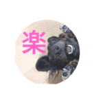 ルーク日和（個別スタンプ：8）