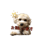 ウチのジョー君（個別スタンプ：12）