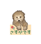 ウチのジョー君（個別スタンプ：24）