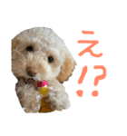 roroスタンプ（個別スタンプ：3）