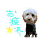 roroスタンプ（個別スタンプ：4）