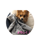 Vivi＆Miraスタンプ（個別スタンプ：6）