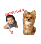 Vivi＆Miraスタンプ（個別スタンプ：12）
