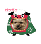 ヨーキーof kee（個別スタンプ：5）