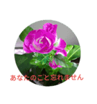 愛してる.（個別スタンプ：9）