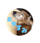 ぼっるるるる（個別スタンプ：2）