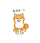 しばーぬ。（個別スタンプ：1）