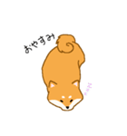 しばーぬ。（個別スタンプ：2）