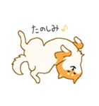 しばーぬ。（個別スタンプ：8）