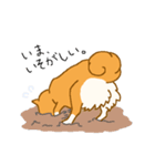 しばーぬ。（個別スタンプ：9）