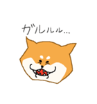 しばーぬ。（個別スタンプ：11）