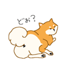 しばーぬ。（個別スタンプ：13）