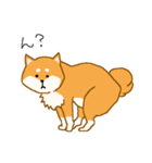 しばーぬ。（個別スタンプ：14）