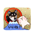 柴犬モモ（個別スタンプ：14）