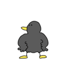 トリさんたちだよ（個別スタンプ：3）