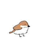 トリさんたちだよ（個別スタンプ：5）