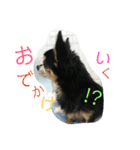tocotocoriku（個別スタンプ：1）